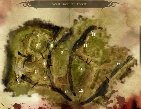 West Brecilian Forest