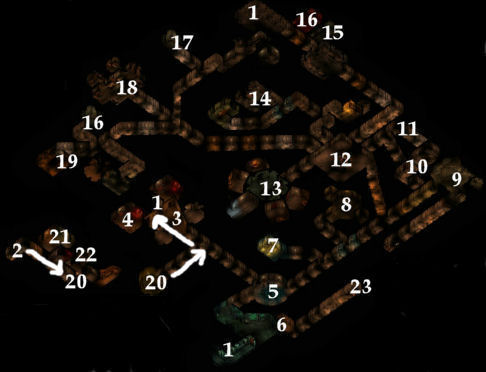 Temple dungeon level 3 map