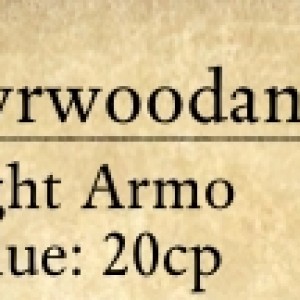 "Dyrwoodan Clothing", the most stylish clothes in Pillars of Eternity ;)